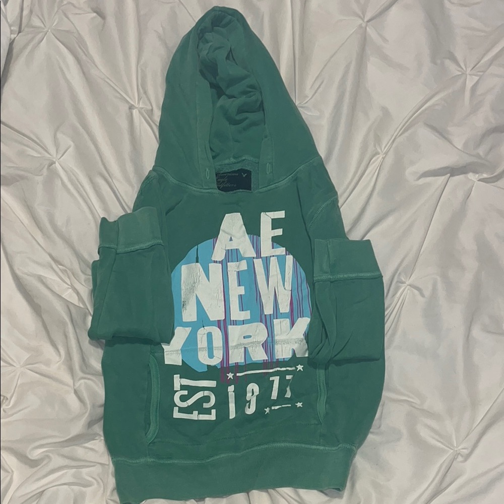 American Eagle Outfitters Mint Hoodie